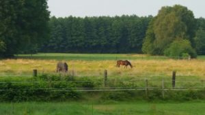 Landhotel Heidkrug Erholung Umgebung